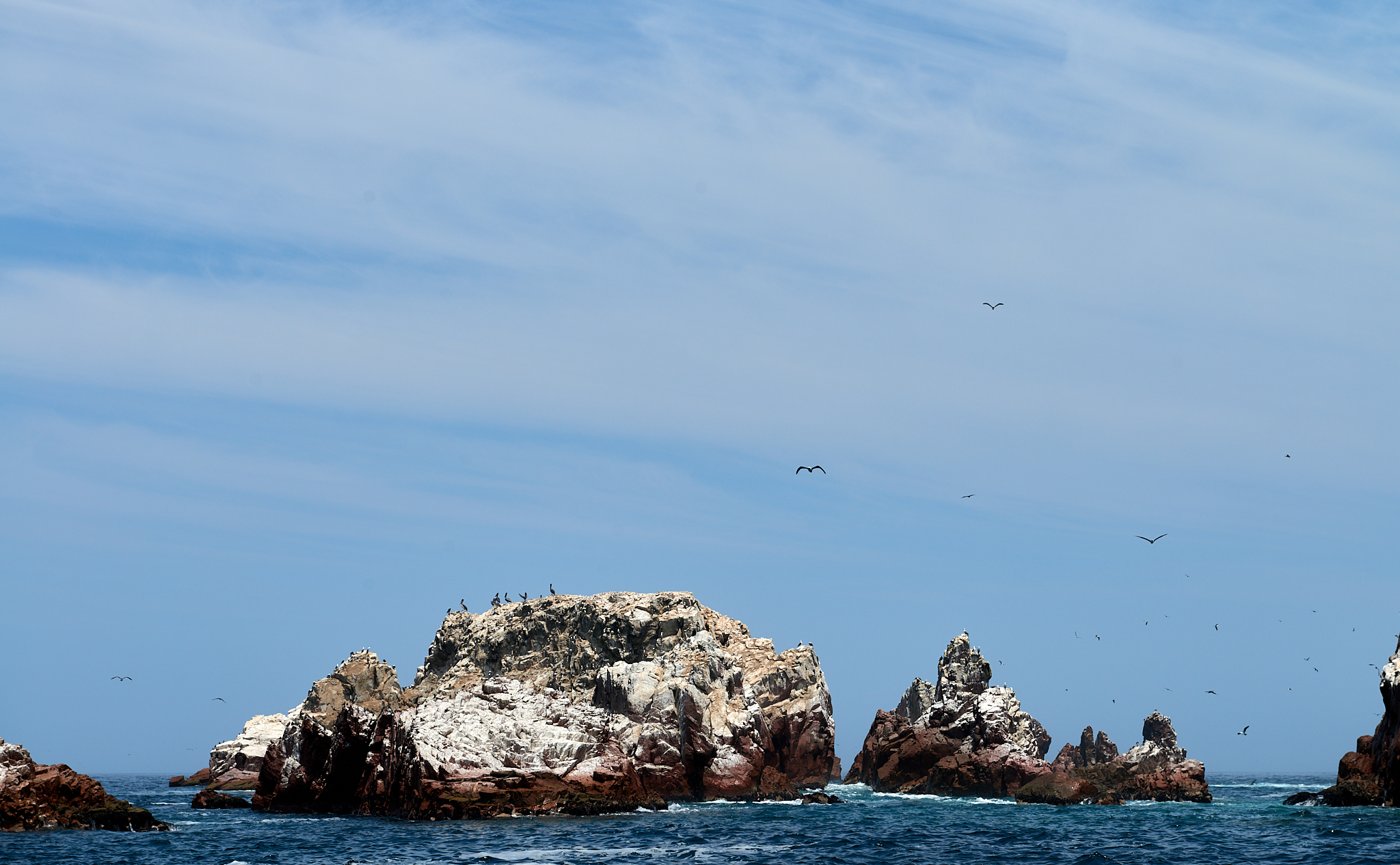 20200304 202 [페루] 바예스타섬